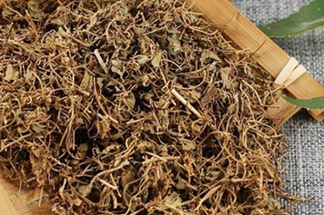 黄胆草