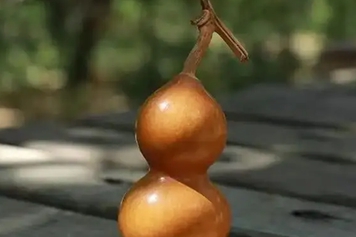 葫芦皮