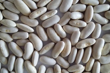 白腰豆