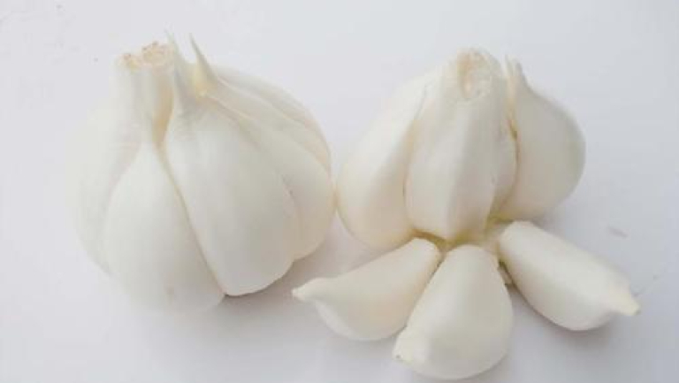 生大蒜