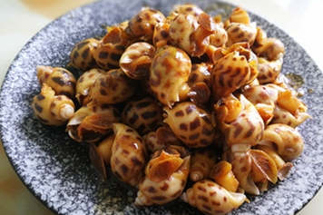 东风螺