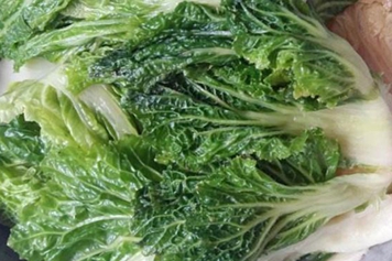 冻白菜
