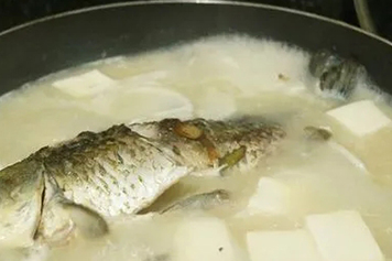 豆腐鲫鱼