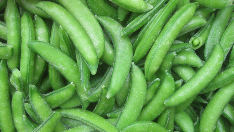 豌豆荚