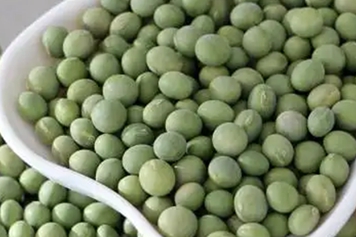 绿黄豆