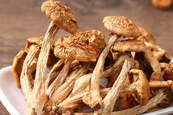 滑菇