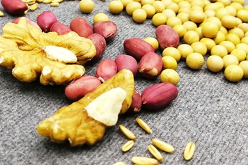 核桃花生黄豆一起打豆浆