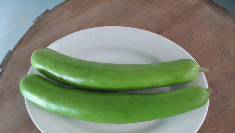 蒲瓜