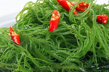 海龙须菜