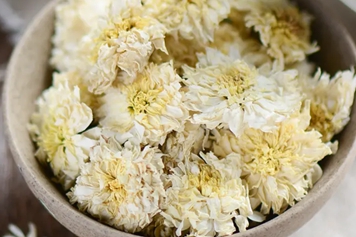 杭白菊花茶