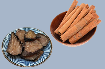 附子肉桂同用