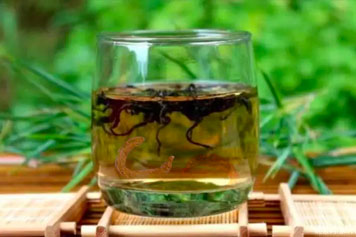 杜仲天麻泡水喝
