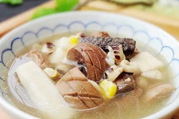 杜仲腰尾汤