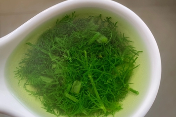 茴香汤