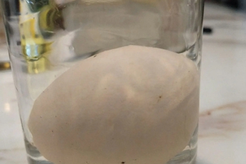 生鸡蛋加白醋