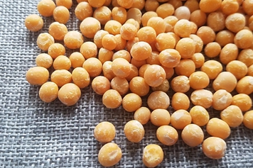 黄豌豆