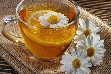 小菊花泡水喝