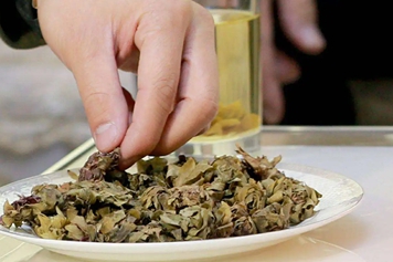 柳花茶