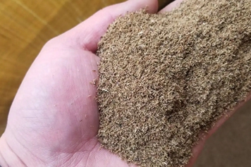 龙胆粉