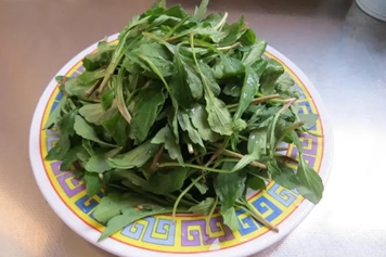 苦刺芽