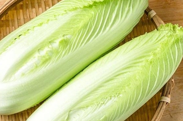 龙牙菜