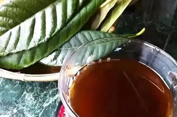 罗汉果枇杷叶煮水