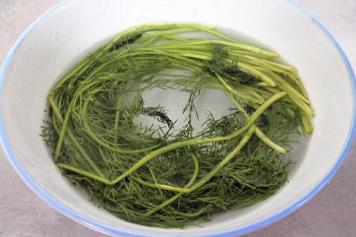 茴香水