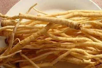 茴香根皮