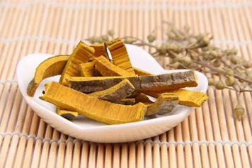 焦黄柏