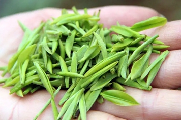 苦苔子茶
