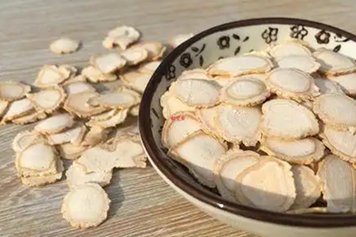兰茸参