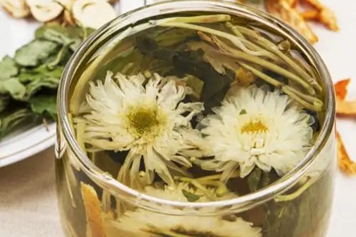 金银花胎菊蒲公英泡水