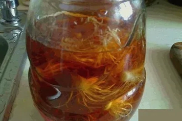 红酒泡葱根须
