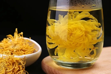 金丝皇菊茶