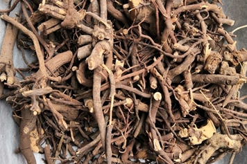 中草药箭根