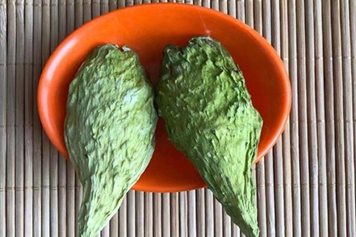 萝藦壳