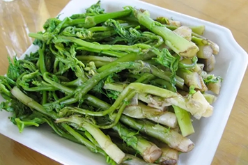 苦力芽