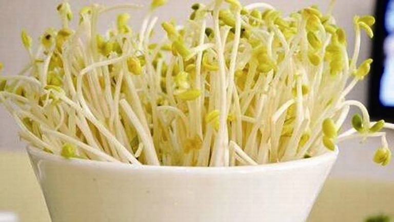 豆芽