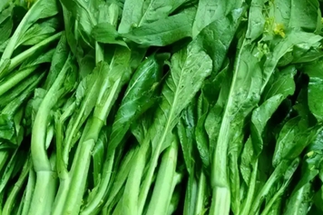 萝卜菜苔