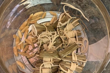 麦冬灯芯草