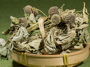 磨盘根