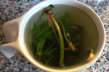 芦蒿叶子泡茶