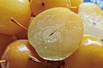 水泡梨