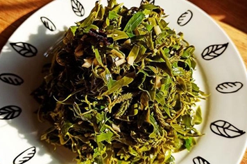 凉拌柳芽