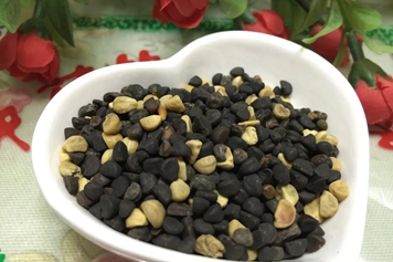 牵牛子