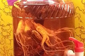 人参枸杞熟地黄泡酒
