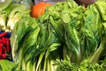 软菜