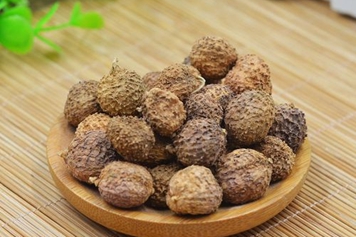 砂仁草药