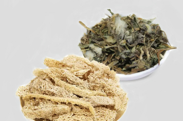 蒲公英加丝瓜络