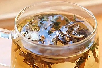 蒲公英和白蒿一起泡水喝